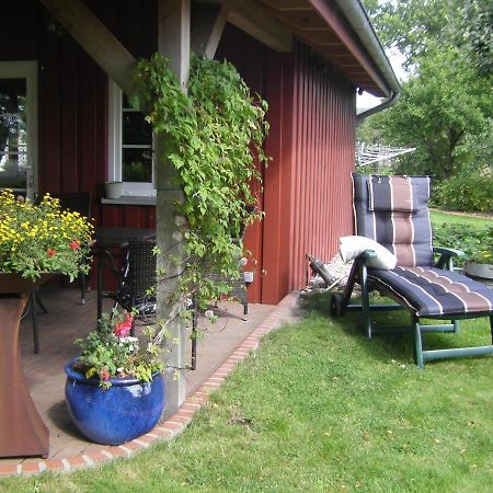 Ferienhaus Staben Eggstedt Ngoại thất bức ảnh